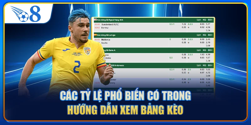Các tỷ lệ phổ biến có trong hướng dẫn xem bảng kèo