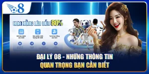 Đại Lý O8 - Những Thông Tin Quan Trọng Bạn Cần Biết