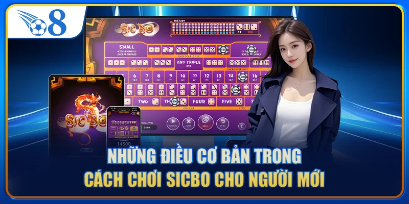 Những điều cơ bản trong cách chơi sicbo cho người mới