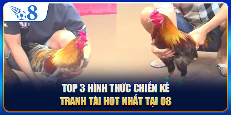 Top 3 hình thức chiến kê tranh tài hot nhất tại O8